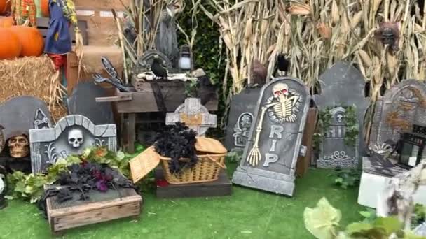 Gente Organiza Diferentes Lápidas Cerca Casa Halloween Encuentran Interesante Hermoso — Vídeos de Stock