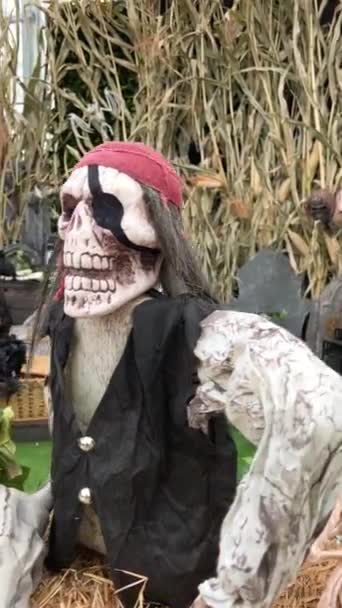 Piratenseemannskelett Mit Rotem Fleck Und Einer Augenklappe Mit Schwarzem Fleck — Stockvideo