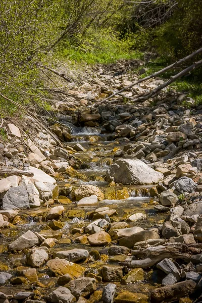 Tagsüber Ein Fluss Den Bergen — Stockfoto