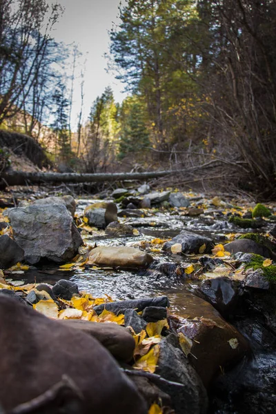 Rivière Qui Coule Sur Les Rochers Automne — Photo