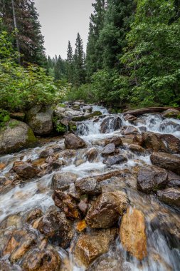Dağ nehrinden akan ipeksi su.