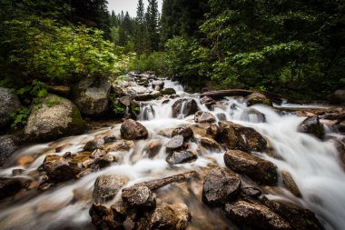Dağ nehrinden akan ipeksi su.