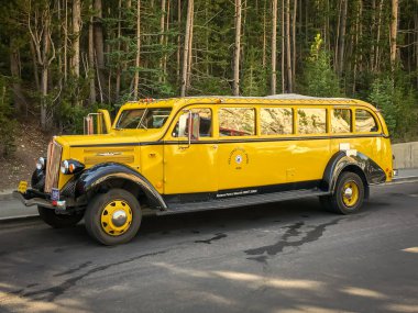 Yellowstone Ulusal Parkı 'nda tur veren tarihi bir otobüs.