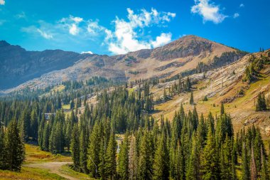 Dağlar ve eğimli ağaçlar vadisi