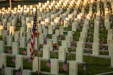 Anma Günü için bayraklarla süslenmiş askeri mezar taşları