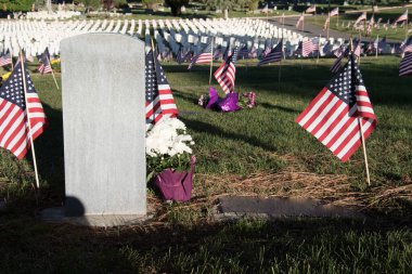 Anma Günü için bayraklarla süslenmiş askeri mezar taşları