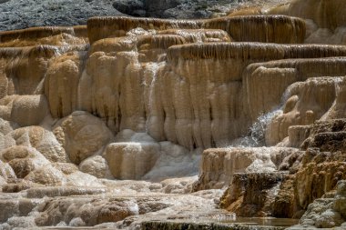Yellowstone Ulusal Parkı 'nda Mamut Kapanışı