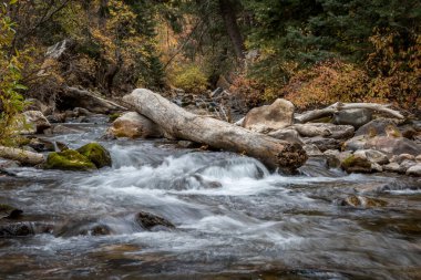 Sonbahar yaprakları ve yosun kaplı kaya parçalarıyla dolu uzun bir dağ nehri.