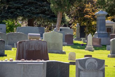 Mezarlıkta çeşitli mezar taşları ve mezar taşları var.