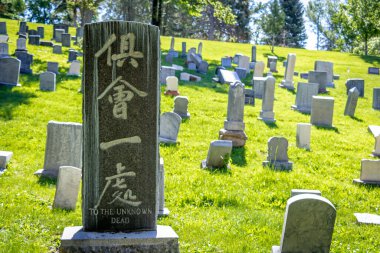 Mezarlıkta gömülü bilinmeyen ölülerin anısına mezar taşları.