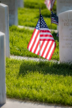 Anma Günü için Amerikan bayraklarıyla süslenmiş silahlı kuvvetler mensuplarını onurlandıran askeri mezar taşları.