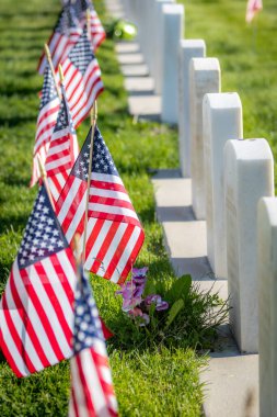 Anma Günü için Amerikan bayraklarıyla süslenmiş silahlı kuvvetler mensuplarını onurlandıran askeri mezar taşları.