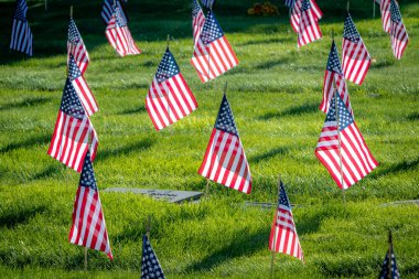 Anma Günü için Amerikan bayraklarıyla süslenmiş silahlı kuvvetler mensuplarını onurlandıran askeri mezar taşları.