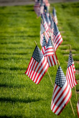 Anma Günü için Amerikan bayraklarıyla süslenmiş silahlı kuvvetler mensuplarını onurlandıran askeri mezar taşları.