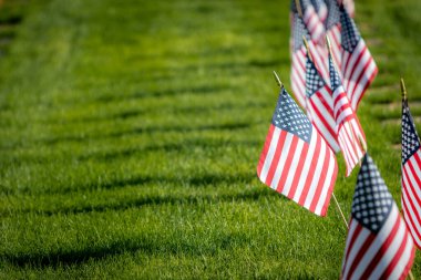 Anma Günü için Amerikan bayraklarıyla süslenmiş silahlı kuvvetler mensuplarını onurlandıran askeri mezar taşları.
