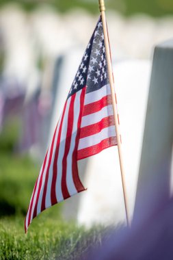 Anma Günü için Amerikan bayraklarıyla süslenmiş silahlı kuvvetler mensuplarını onurlandıran askeri mezar taşları.