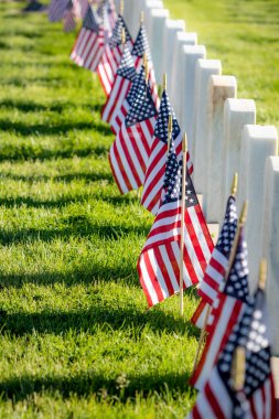 Anma Günü için Amerikan bayraklarıyla süslenmiş silahlı kuvvetler mensuplarını onurlandıran askeri mezar taşları.