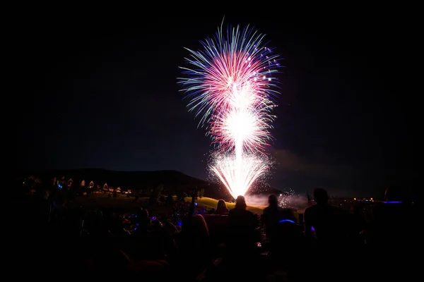 Bağımsızlık Günü Nde Gece Havai Fişek Gösterisi — Stok fotoğraf