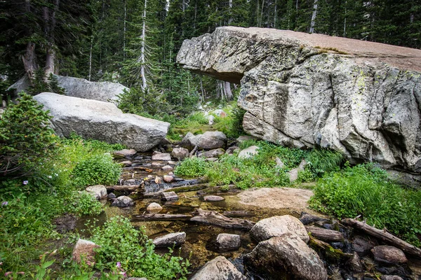 Flowing Mountain Stream Summer — стоковое фото