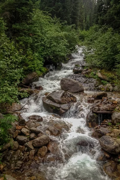 Rivier Cascading Rocky Mountainside — Stockfoto