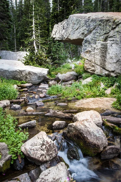 Scorrendo Torrente Montagna Estate — Foto Stock