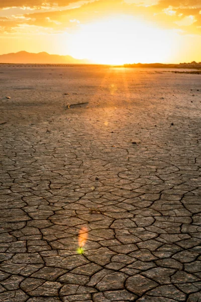 Der Ausgetrocknete Wüstensee Bei Sonnenuntergang — Stockfoto