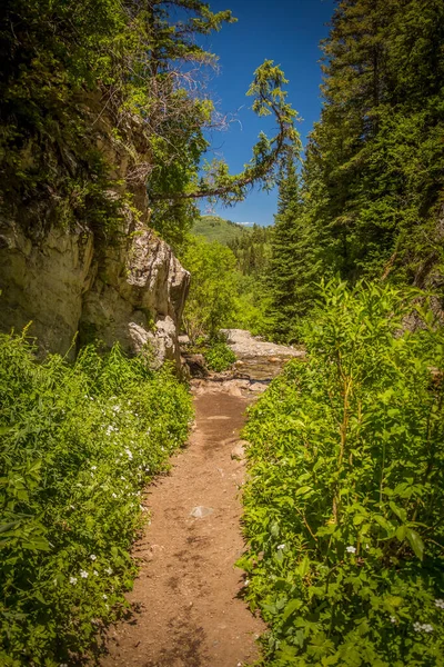 Sentiero Escursionistico Che Conduce Montagna — Foto Stock