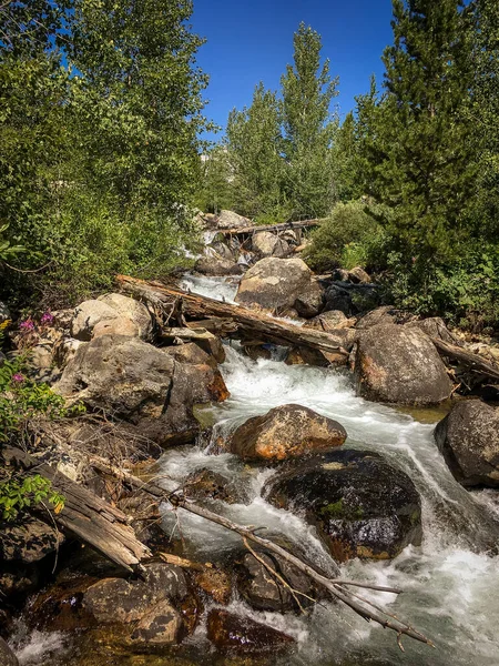 Ποταμός Cascading Κάτω Rocky Mountainside — Φωτογραφία Αρχείου