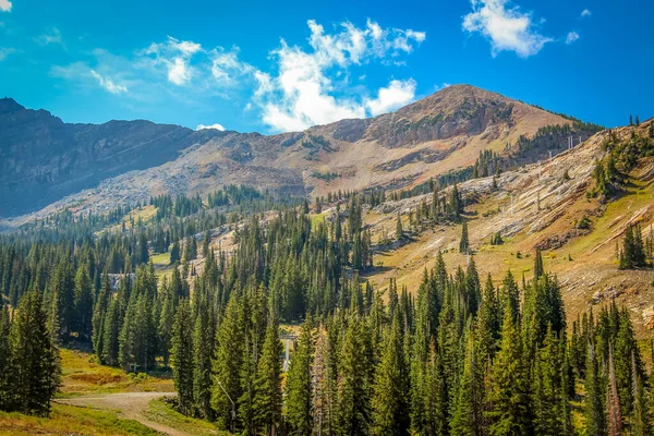Dağlar ve eğimli ağaçlar vadisi