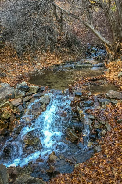 Arroyo Montaña Con Lámina Otoño — Foto de Stock