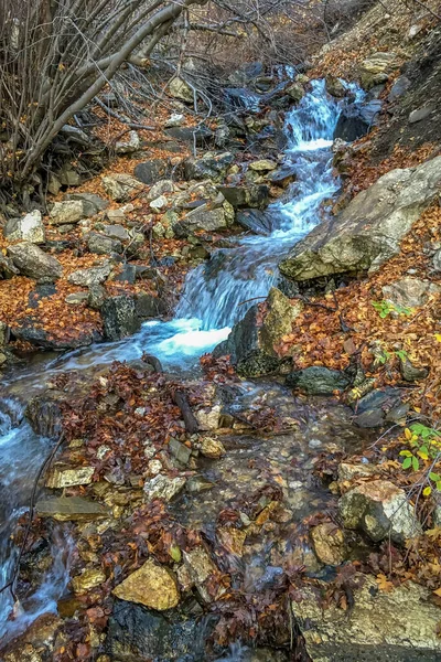 滝の映像が流れる渓流 — ストック写真