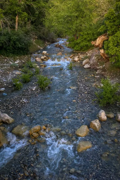 Torrente Montagna Che Scorre — Foto Stock