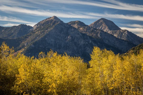 Aspen Grove Jaune Doré Dans Une Vallée Sous Les Sommets — Photo