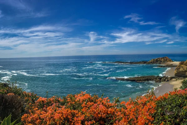 Giardino Sulla Costa Dell Oceano — Foto Stock