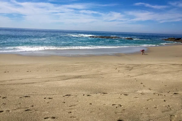 Маленькая Девочка Полном Одиночестве Пляже Собирает Раковины — стоковое фото
