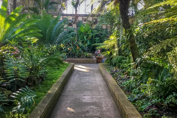 Interior Dari Kebun Raya — Stok Foto