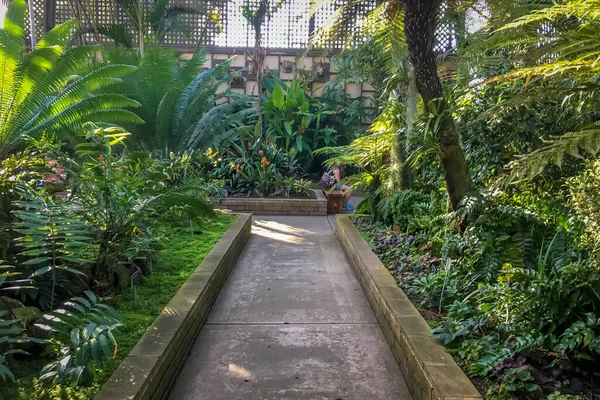 Interior Botanical Garden — Stock Photo, Image