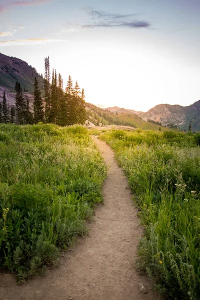 Sentier Randonnée Montagne Coucher Soleil — Photo