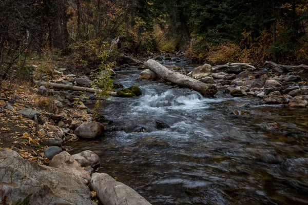 Longa Exposição Rio Montanha Com Folhas Outono Pedras Cobertas Musgo — Fotografia de Stock