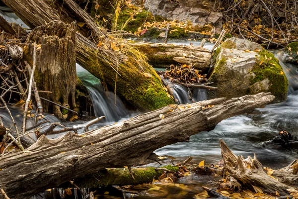 苔で覆われたログで川の長時間露光秋の葉で振りかけ — ストック写真