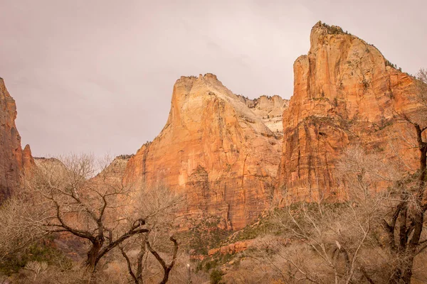 Court Patriarchs Rock Formations Zion National Park Utah — Stock Photo, Image