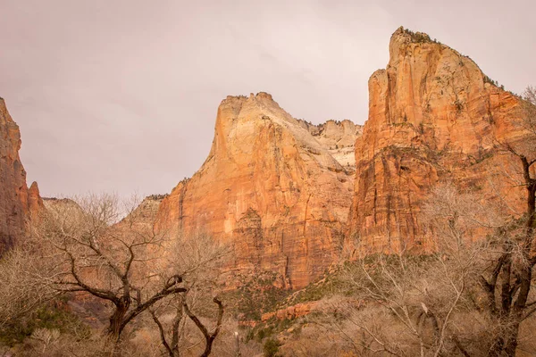 Patriarkernas Domstol Sions Nationalpark Utah — Stockfoto