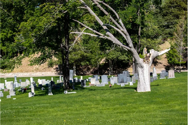 Mezarlıktaki Küçük Bir Gruptaki Mezar Taşları — Stok fotoğraf