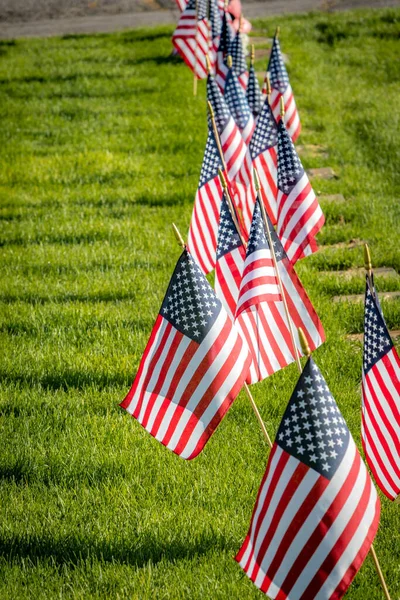 Anma Günü için Amerikan bayraklarıyla süslenmiş silahlı kuvvetler mensuplarını onurlandıran askeri mezar taşları.