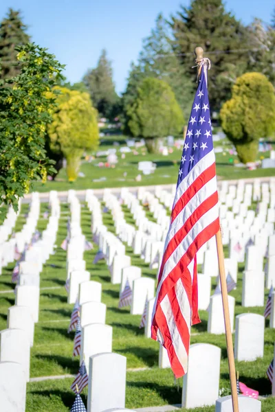 Katonai Sírkövek Tiszteletére Fegyveres Erők Katonái Díszített Amerikai Zászlók Memorial — Stock Fotó