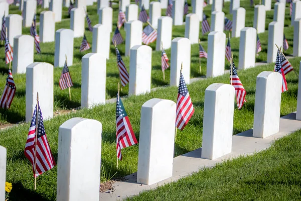 Anma Günü için Amerikan bayraklarıyla süslenmiş silahlı kuvvetler mensuplarını onurlandıran askeri mezar taşları.