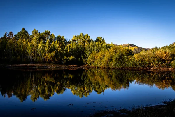 Estanque Montaña Bosque Verano Por Mañana Con Cielos Azules — Foto de Stock