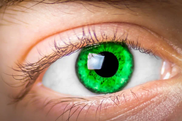 Extreme Close Girl Eye Colored Green Looking Camera — Stock Photo, Image