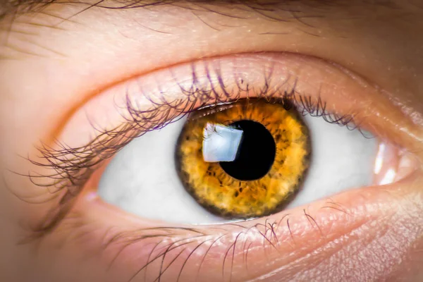 Bir İnsan Gözünün Aşırı Yakın Çekimi Kameraya Bakıyor