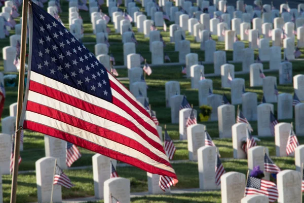 Anma Günü Için Bayraklarla Süslenmiş Askeri Mezar Taşları Telifsiz Stok Imajlar